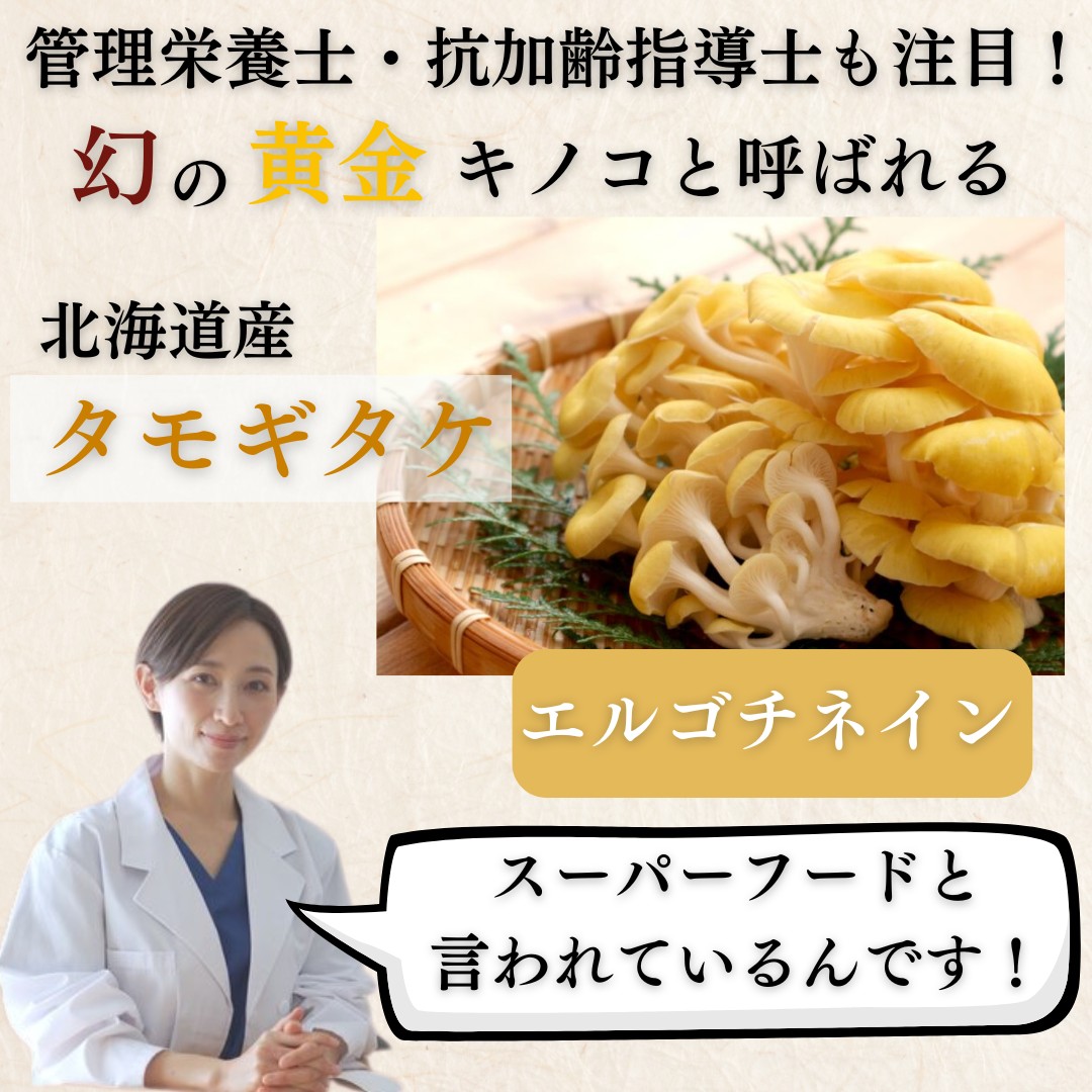 たもぎ茸の効能は本当？驚きのエルゴチオネイン効果と噂の真相を徹底検証！