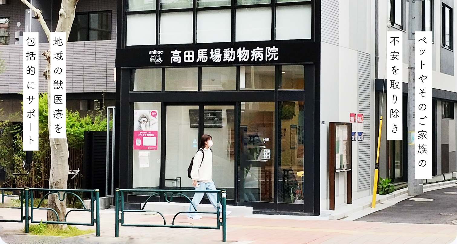 高田馬場の動物病院選び2026｜夜間救急・日曜診療と口コミの真相