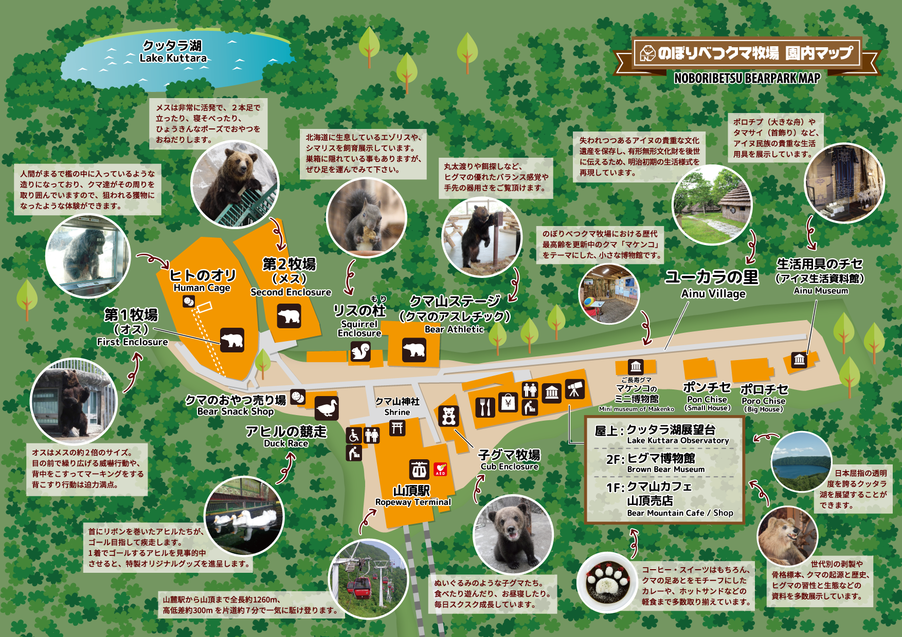 登別クマ牧場の見どころ完全攻略！割引クーポンと混雑回避の真実
