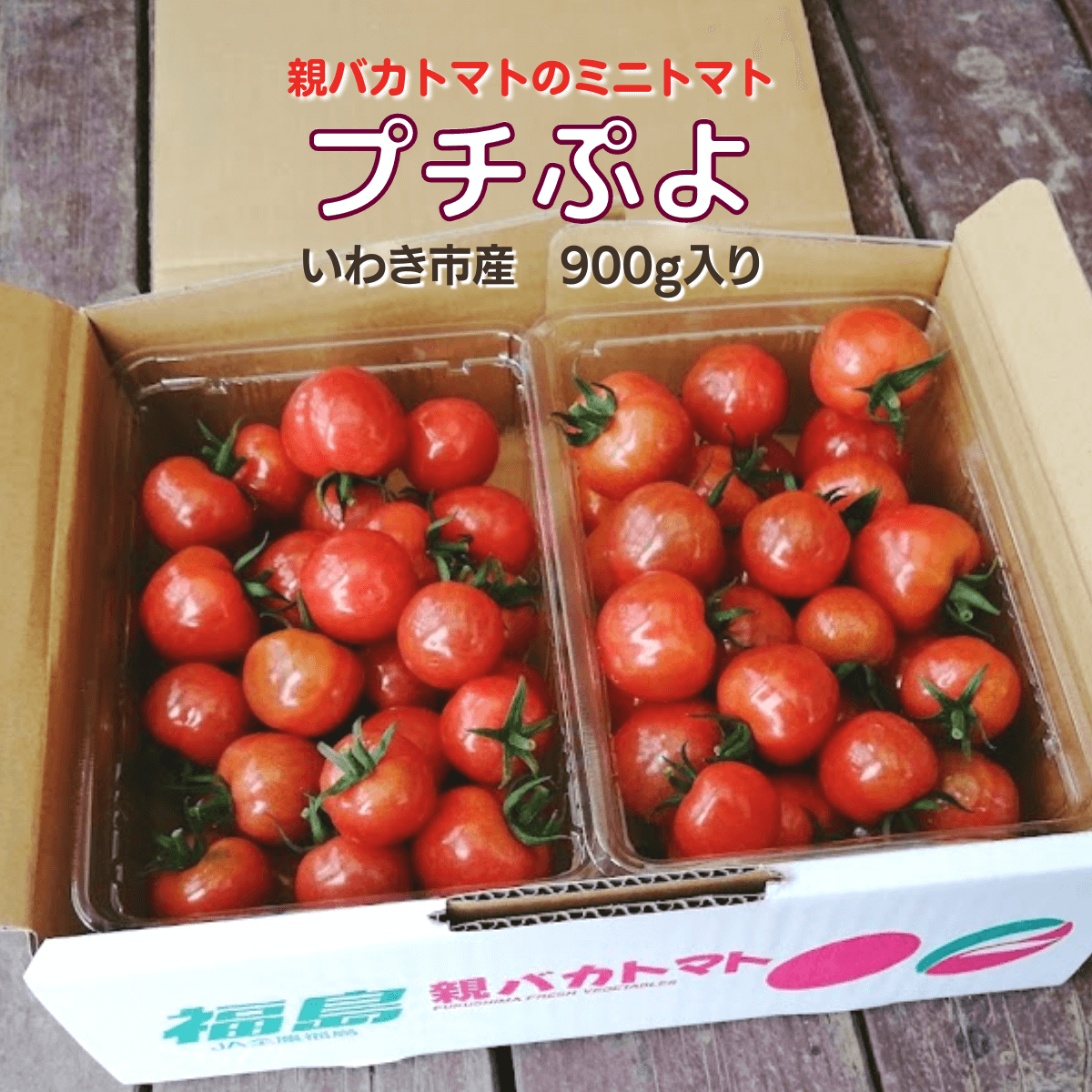 幻のプチぷよトマトの真実｜買えない理由と失敗しない栽培極意2026