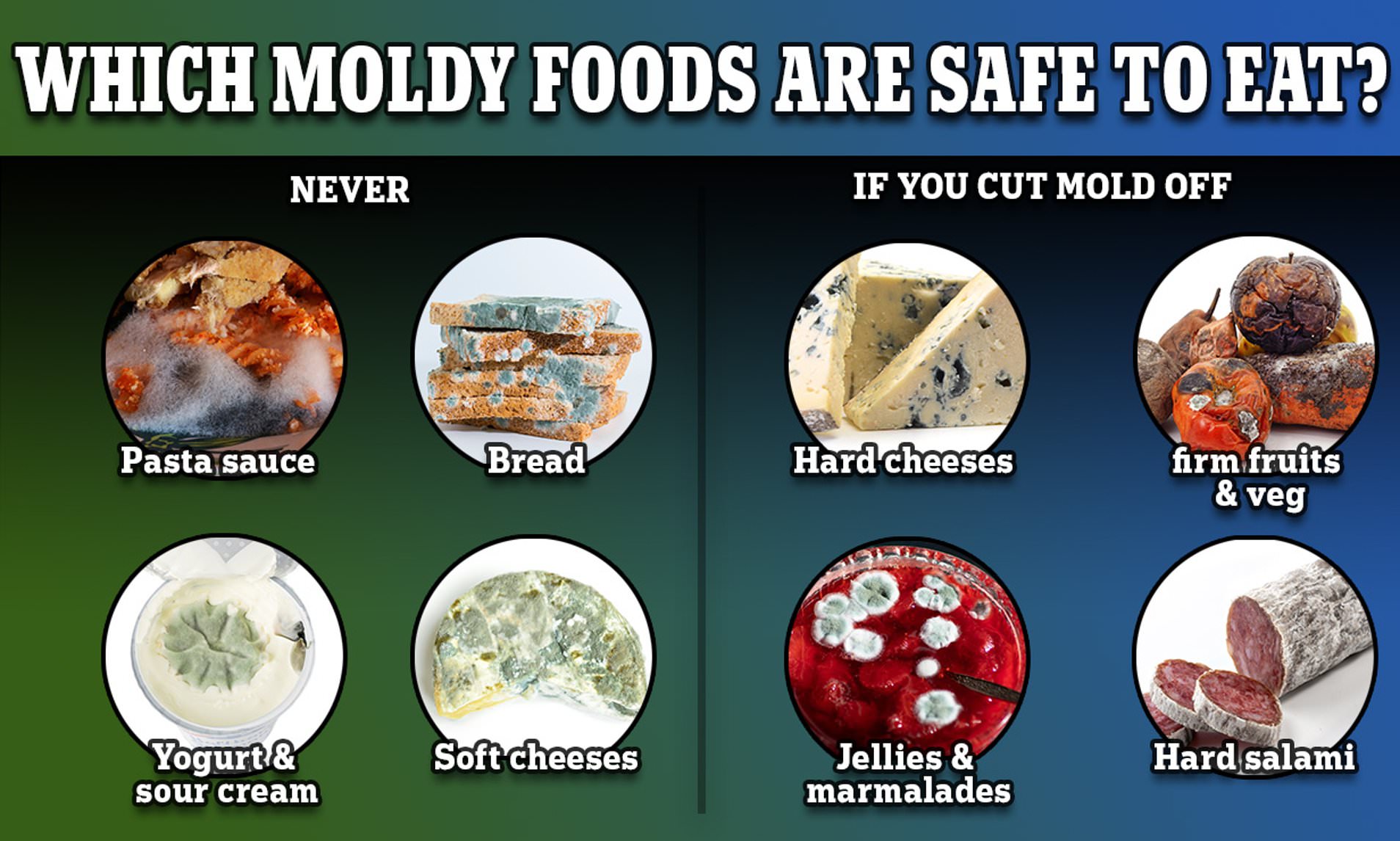What Does Eating Mold Do to Your Body