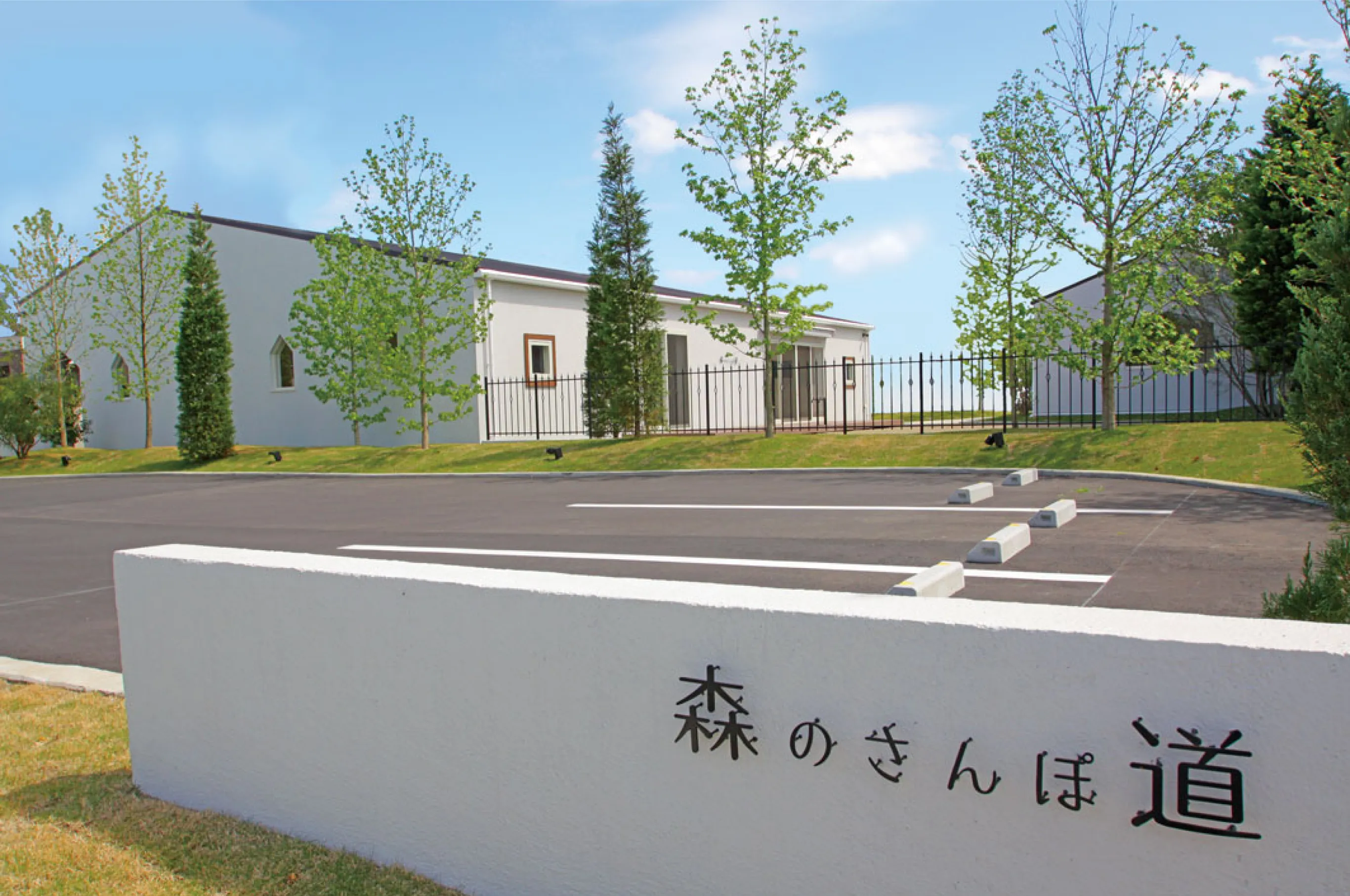 森のさんぽ道が熱視線を浴びる理由とは？見どころと混雑回避を徹底検証