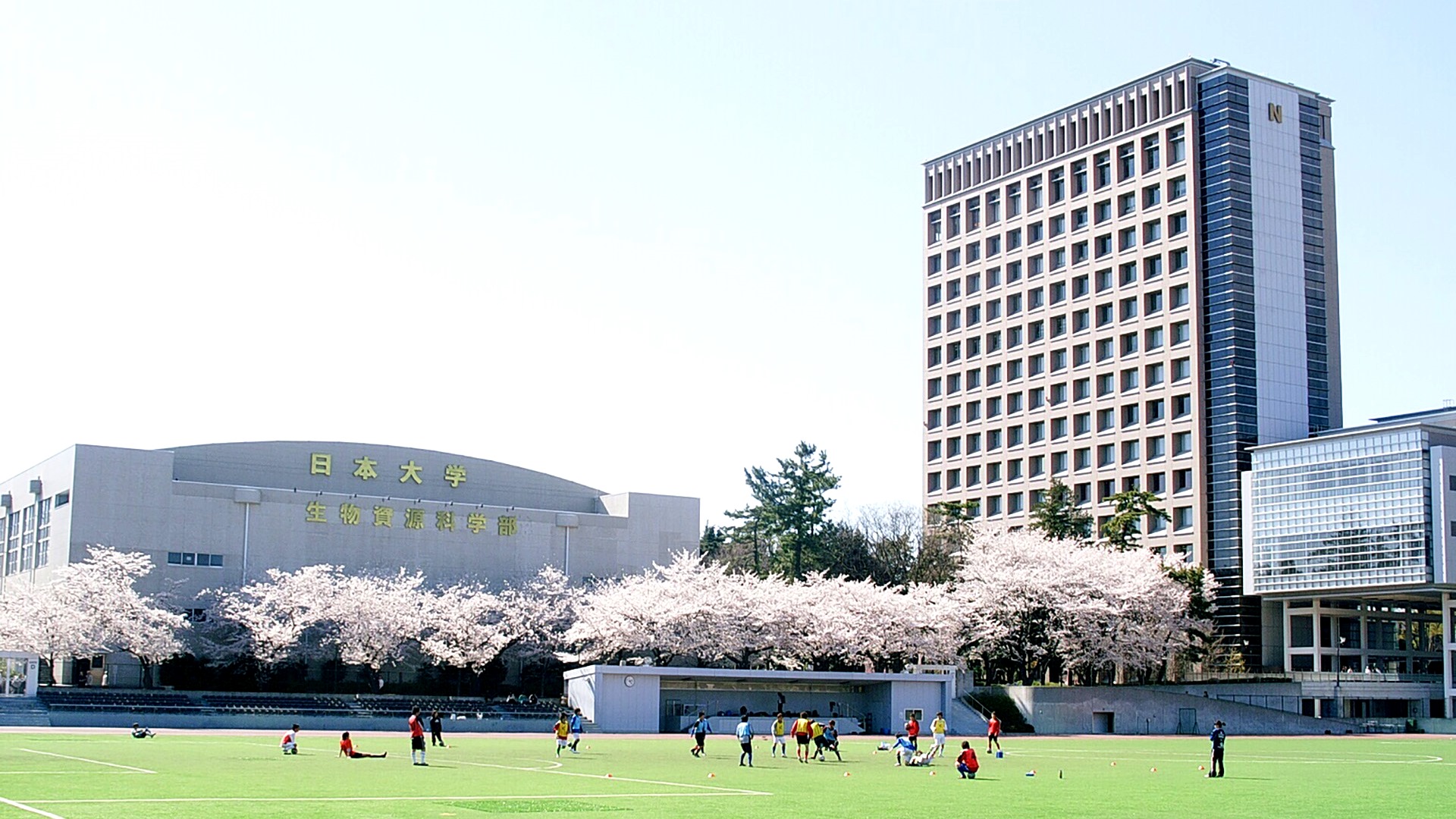【2026年最新現地ルポ】房総の食と活気が集結！「房総の駅 とみうら」が首都圏のドライブ客を惹きつける熱狂の舞台裏