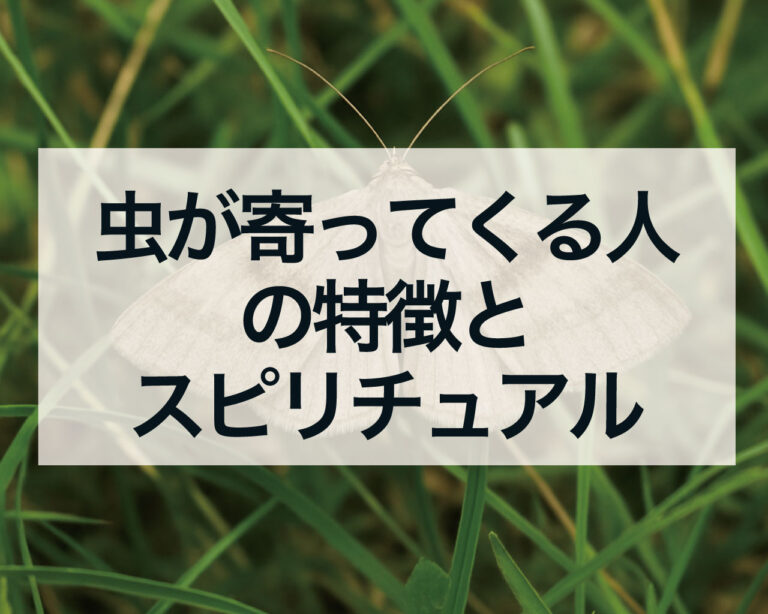 【2026年最新科学】なぜ私だけ？「虫が寄ってくる人」の決定的な差が判明。蚊や不快害虫を引き寄せる“真の要因”と最新バイオ対策