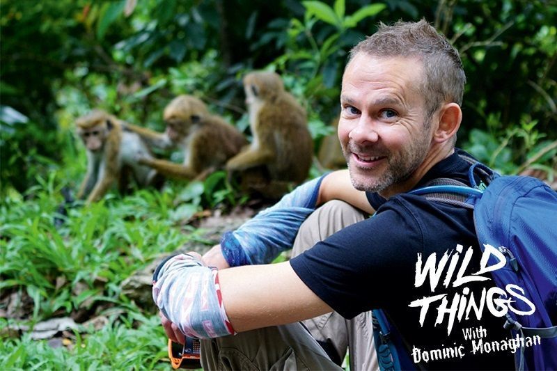 Dominic Monaghan’s Wildlife Career: Inside His Passion for Nature, Conservation, and Travel
