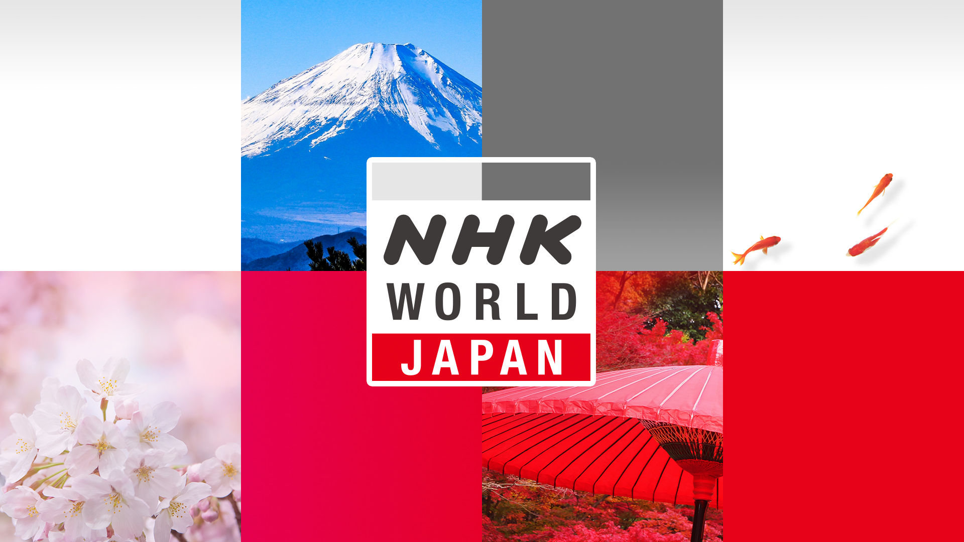 Nhk受信料を払ってない人はずるい？割増金リスクと不公平感の真相