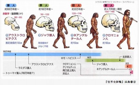 【速報】 人類 の 進化 図 歴代彼氏・彼女まとめ #769