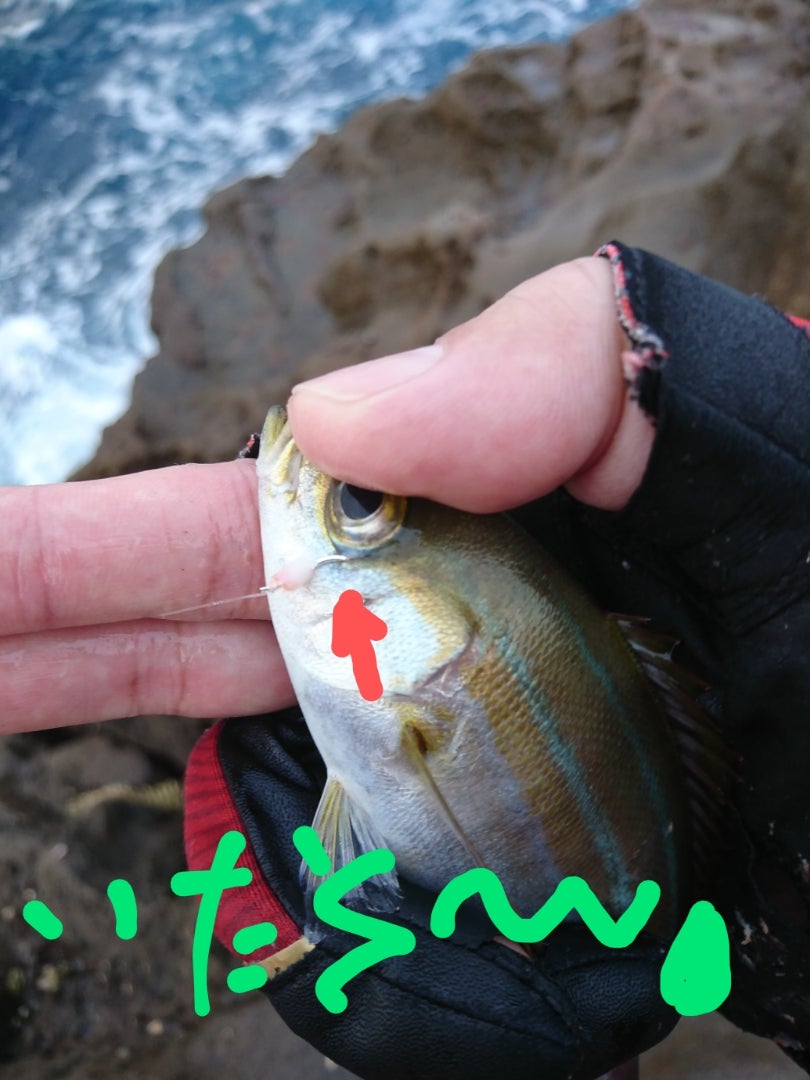 風速4Mの釣りは中止？釣果を伸ばす攻略法と風裏の選び方を徹底解説