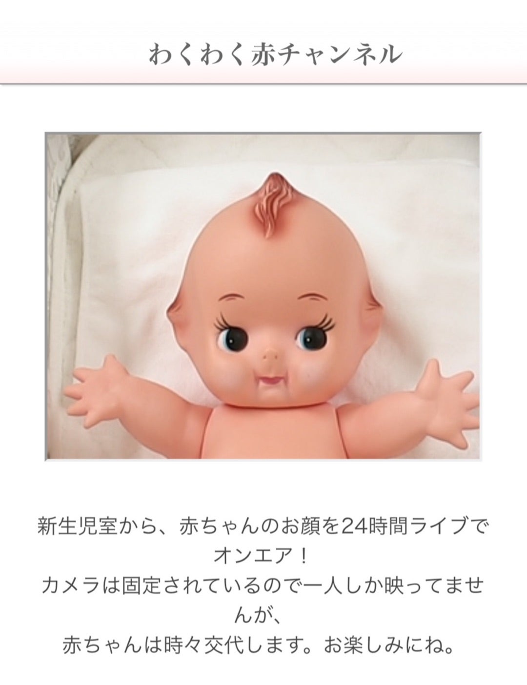 わくわく赤チャンネルの正体とは？人気動画の秘密と2026年現在の状況