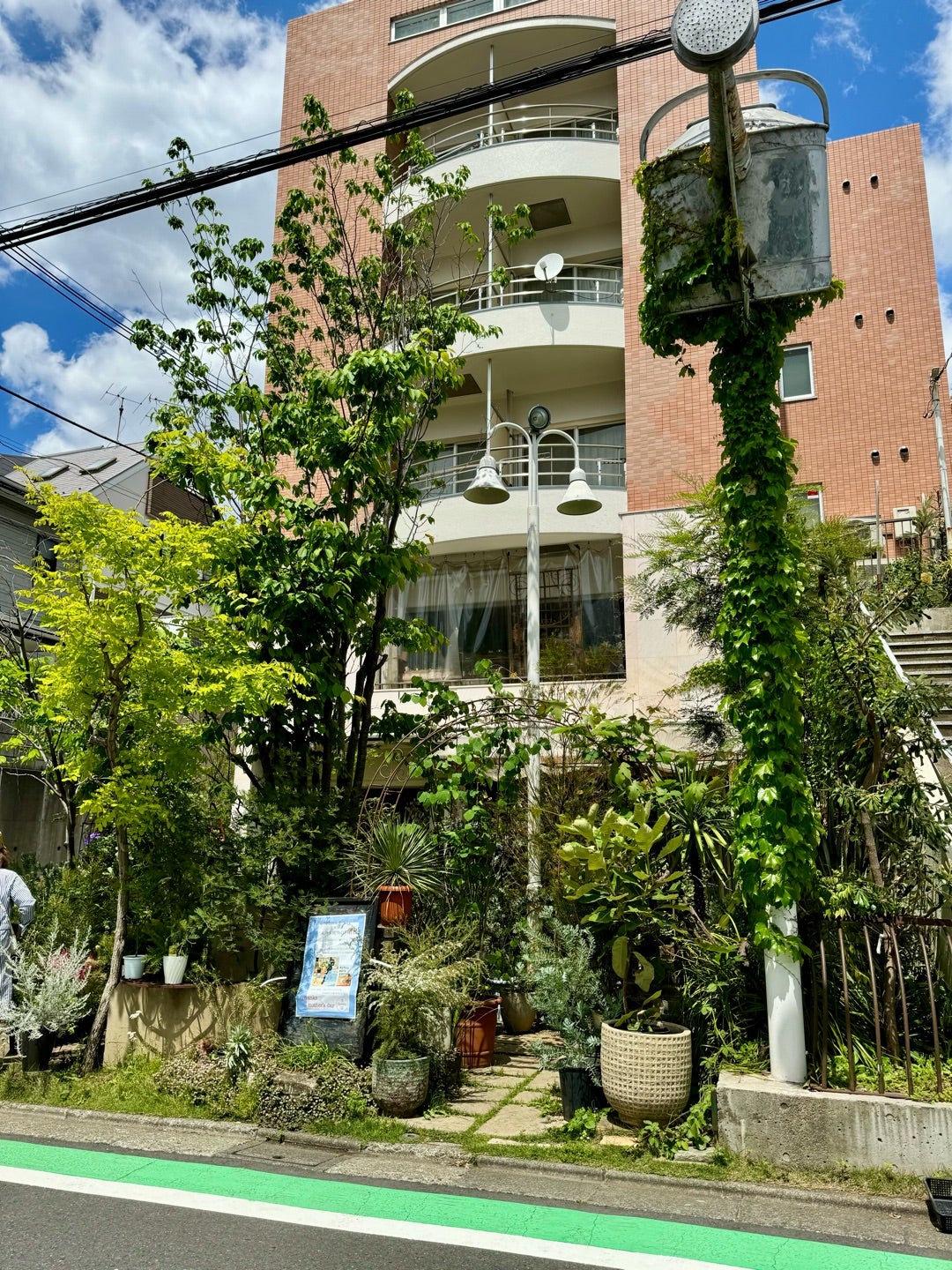 勝地涼の実家は自由が丘の有名店？話題の生花店と父親の噂を徹底取材