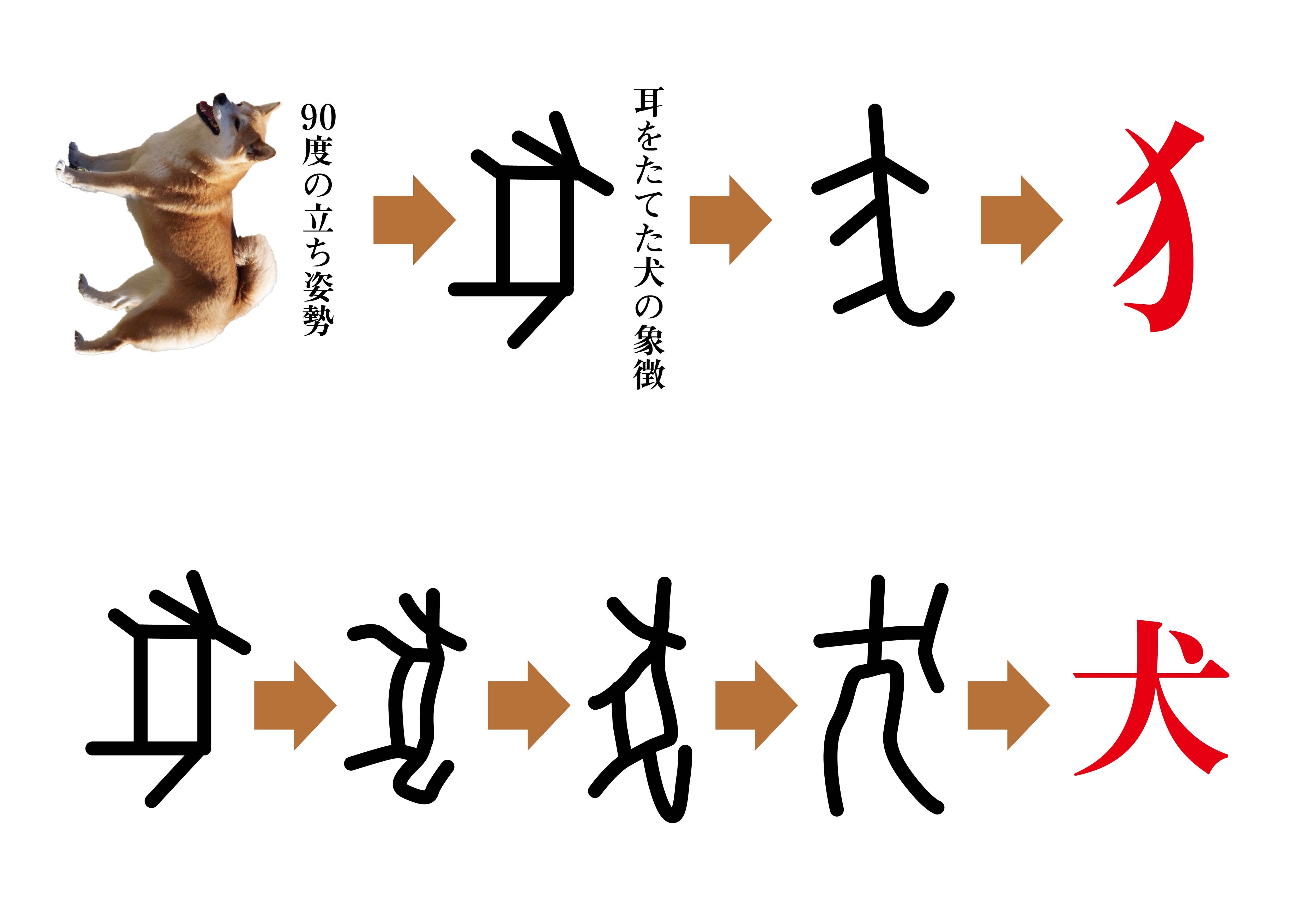 犬の漢字の成り立ちと点の秘密｜なぜ大に点がつくのか古代文字から徹底解明