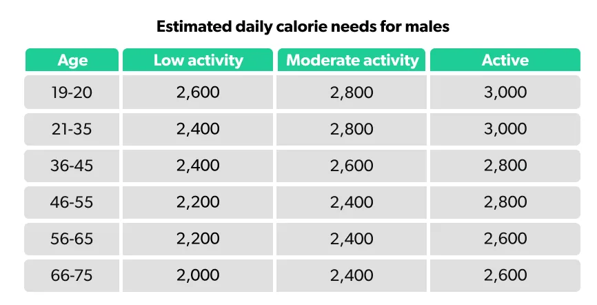 How Much Calories Does a Adult Male Need