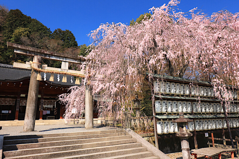 【2026年最新】「忠臣蔵」の聖地から「大願成就」のパワースポットへ——いま大石神社が国内外の旅人を惹きつける理由