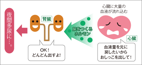 【噂】 心 因 性 頻 尿 子供 ブログ 人気理由と評判まとめ #623