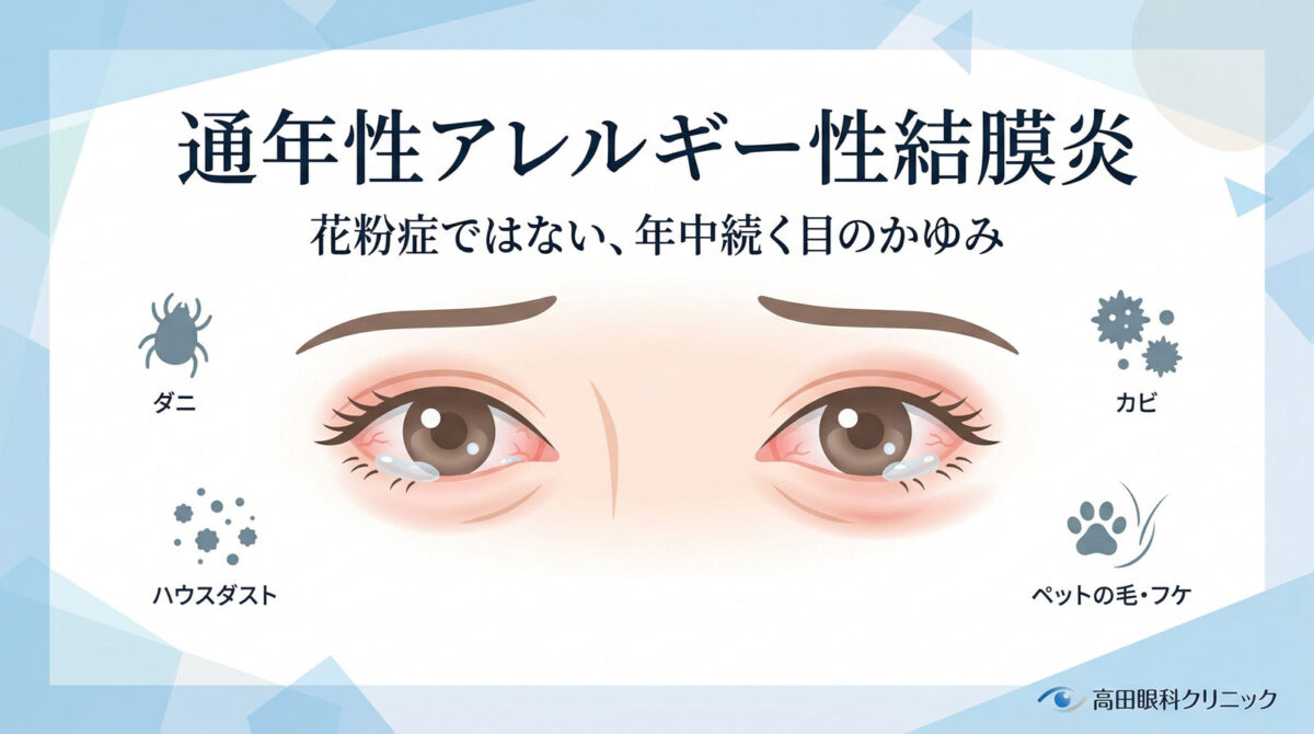 花粉症で目が痛い原因は？痒み放置の危険と2026年最新の治し方