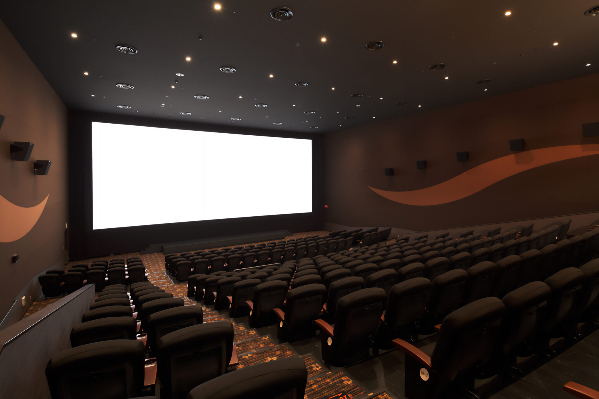 イオン大牟田の映画鑑賞術！最新割引と混雑回避の穴場を徹底取材