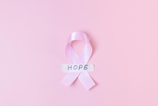 Pink as Symbol of Hope Lindsay Clancy Supporters Use Color to Advocate for Not Guilty by Reason of Insanity