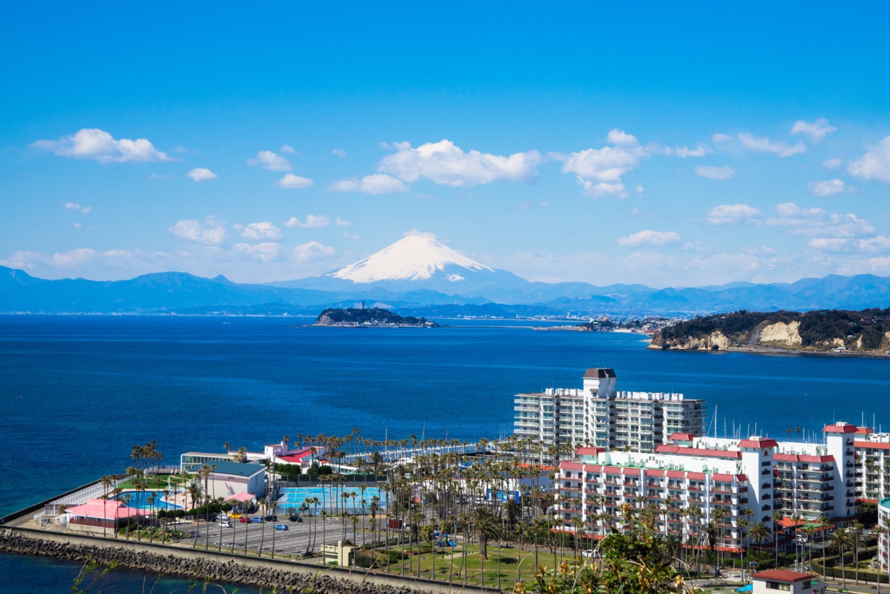 【2026年最新現地レポ】海風と緑が交差する「逗子 運動 公園」が進化中！地域のリフレッシュ拠点から防災・多世代交流の未来型パークへ