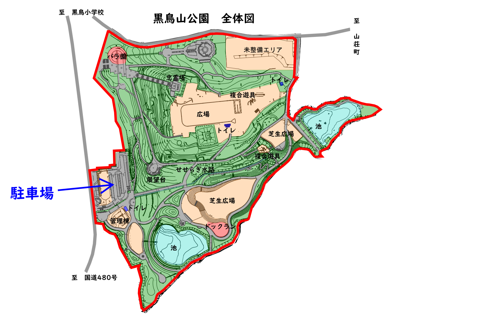 黒鳥山公園の桜2026！満開見頃・夜桜ライトアップと駐車場Bbq徹底解説