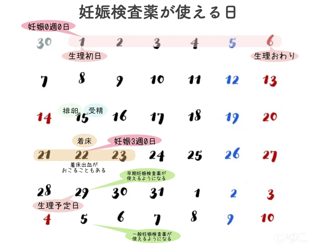 着床出血後の妊娠検査薬はいつから？生理との違いや陰性から陽性の真相