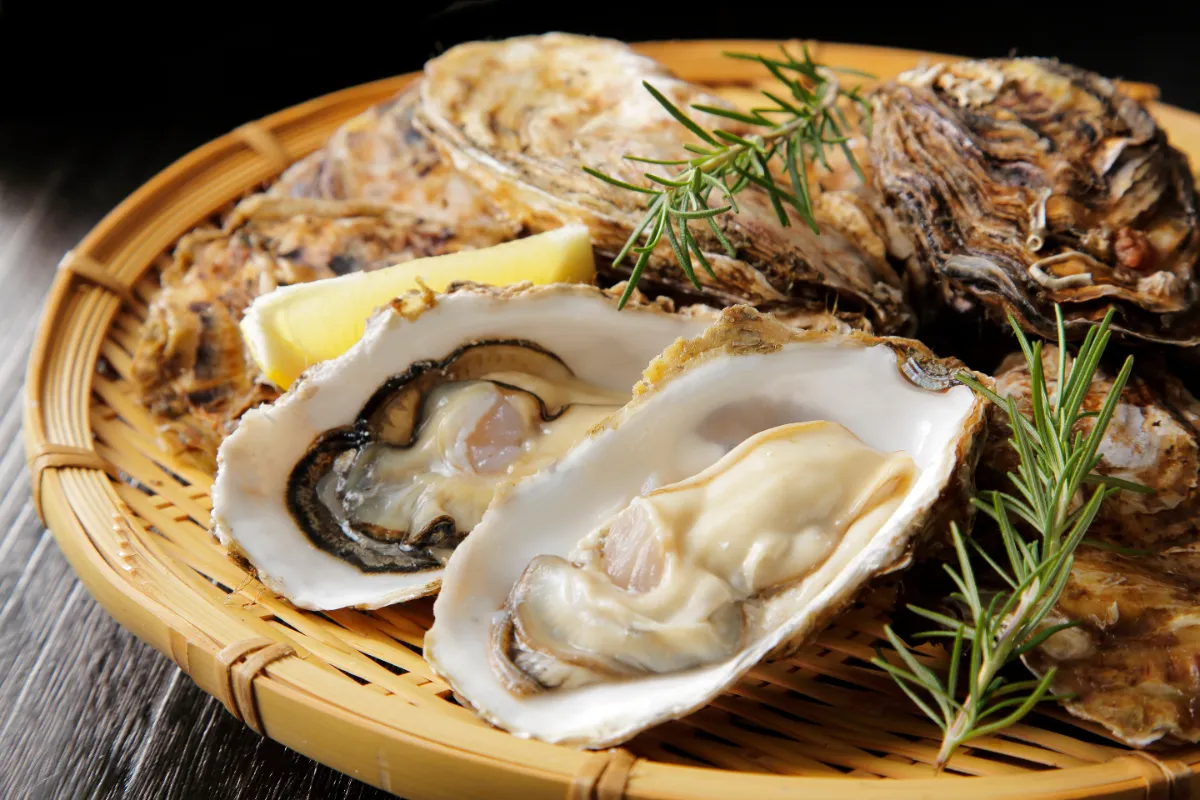 牡蠣食中毒の真相！加熱しても当たる理由と緊急対処法【2026最新】