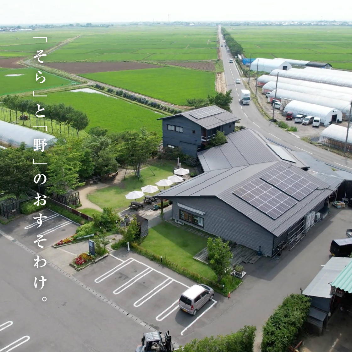 新潟・そら野テラスの評判を徹底解剖！ランチといちご狩り最新事情