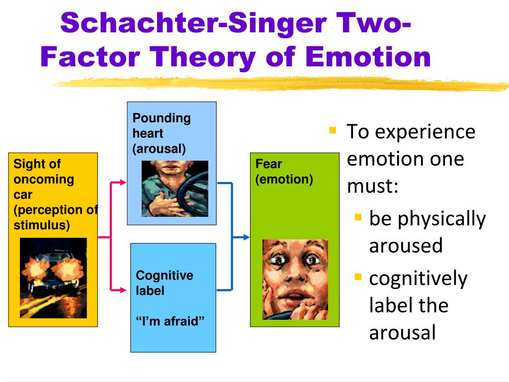 What Is the Schachter Singer Theory of Emotion