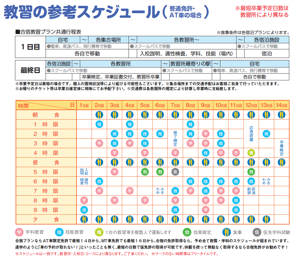 白菜の種まき時期と地域別適期カレンダー！結球失敗を防ぐ最新栽培術
