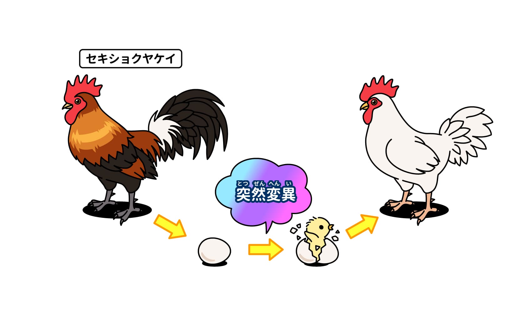 卵が先か鶏が先かついに決着？科学と哲学が導く2026年の真相