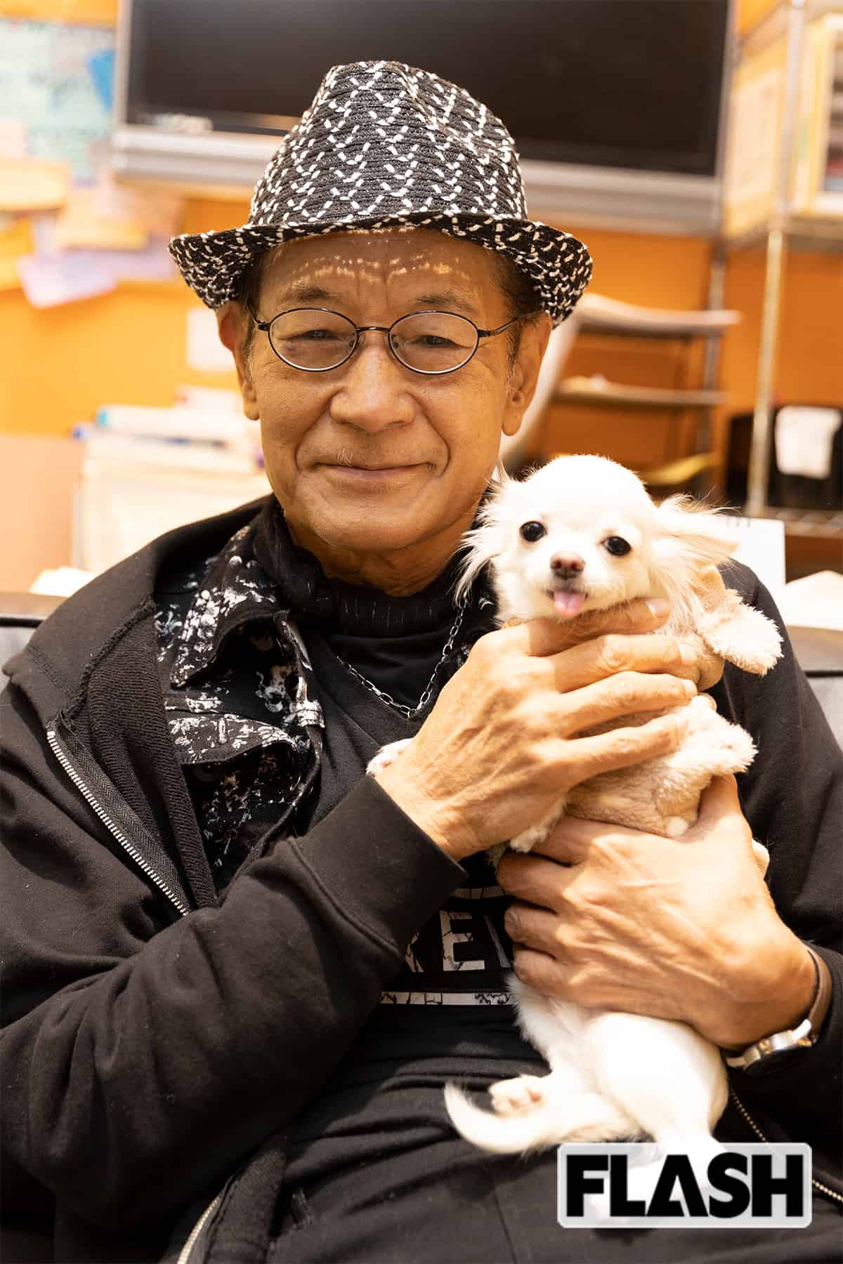 清水章吾とアイフルCmの光と影｜チワワブームから騒動の真相と現在