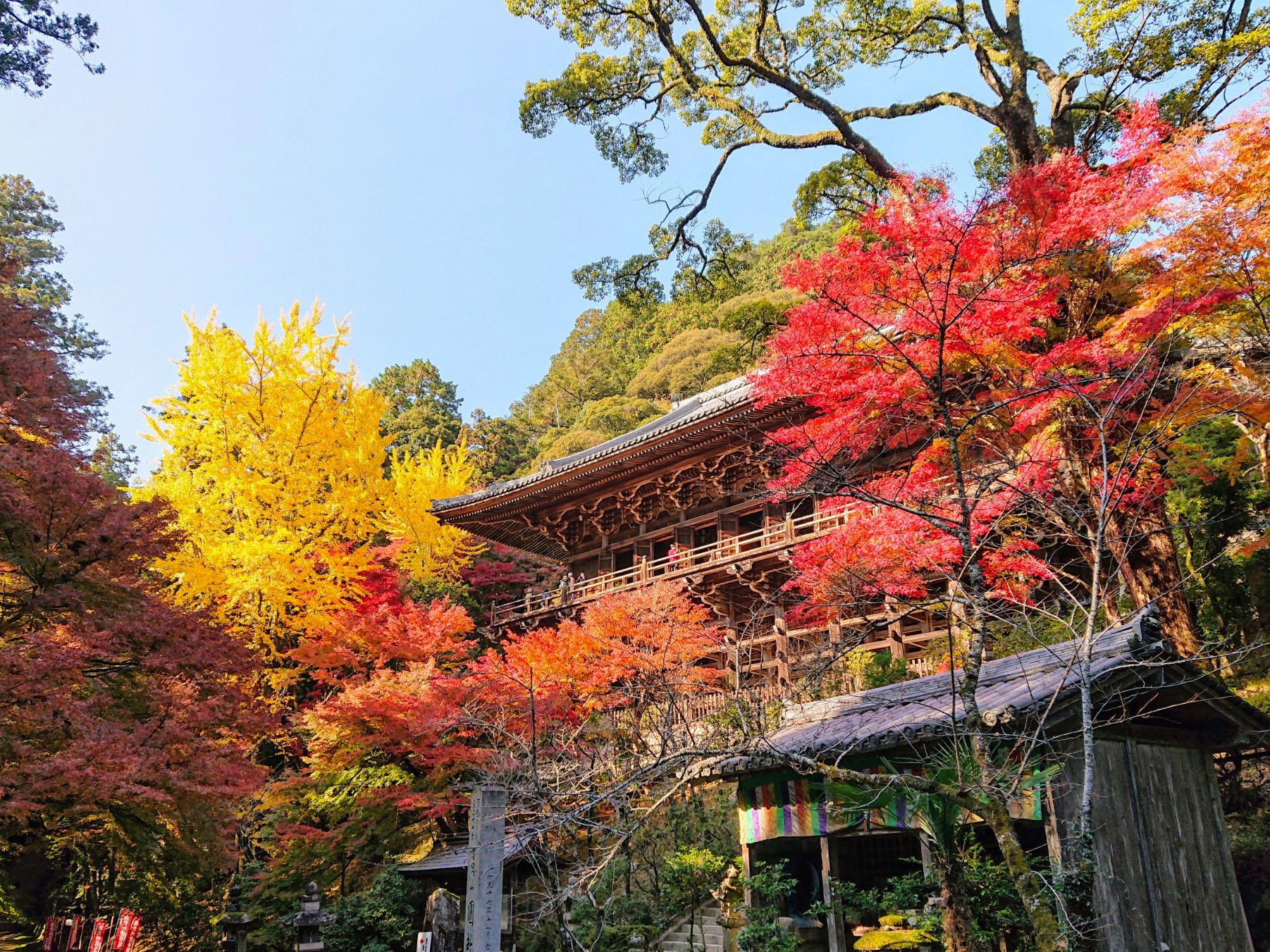 書写山圓教寺の全貌！ラストサムライ聖地と摩尼殿の見どころ徹底解説