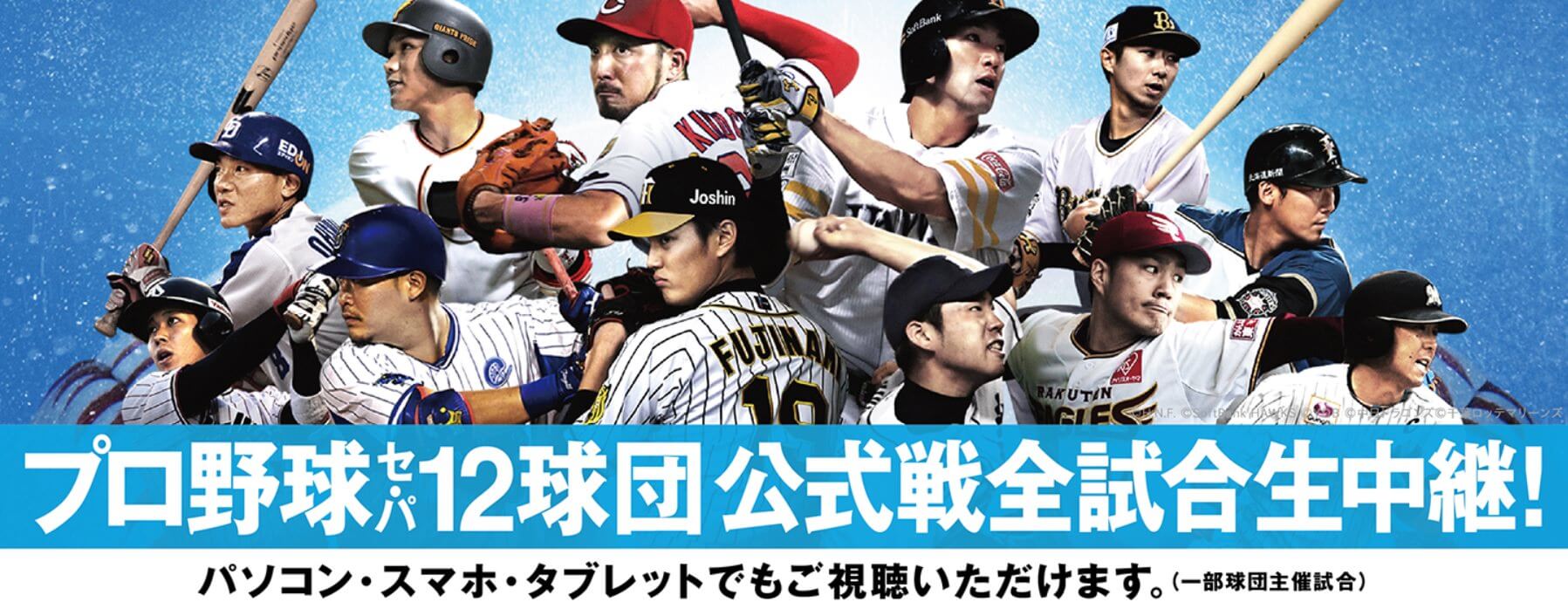 プロ野球口コミ評判総まとめ！現地観戦のリアルと配信比較の真相