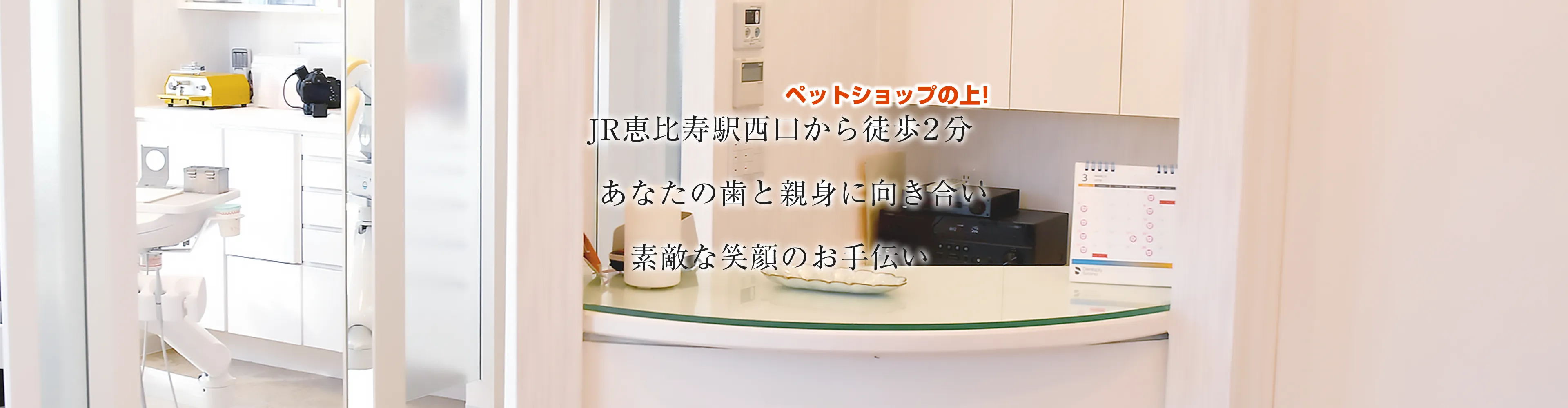 直火焙煎の極み！やなかコーヒーの限定銘柄と初心者必見のおすすめ豆