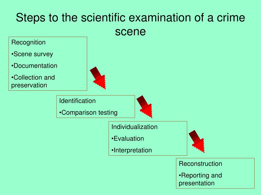 Steps to a Crime Scene Investigation