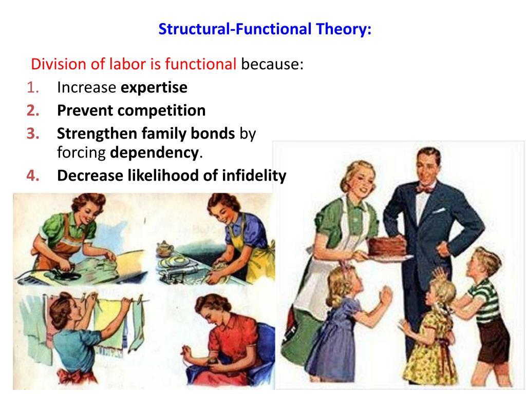 Structural and Functional Theory