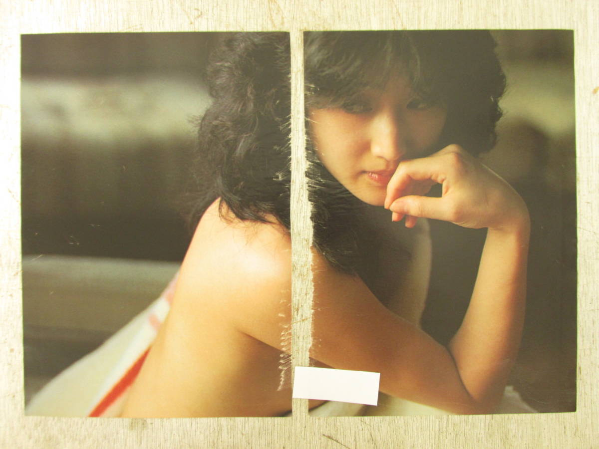 芦川よしみヌードの真相｜映画濡れ場と写真集の全記録を徹底検証