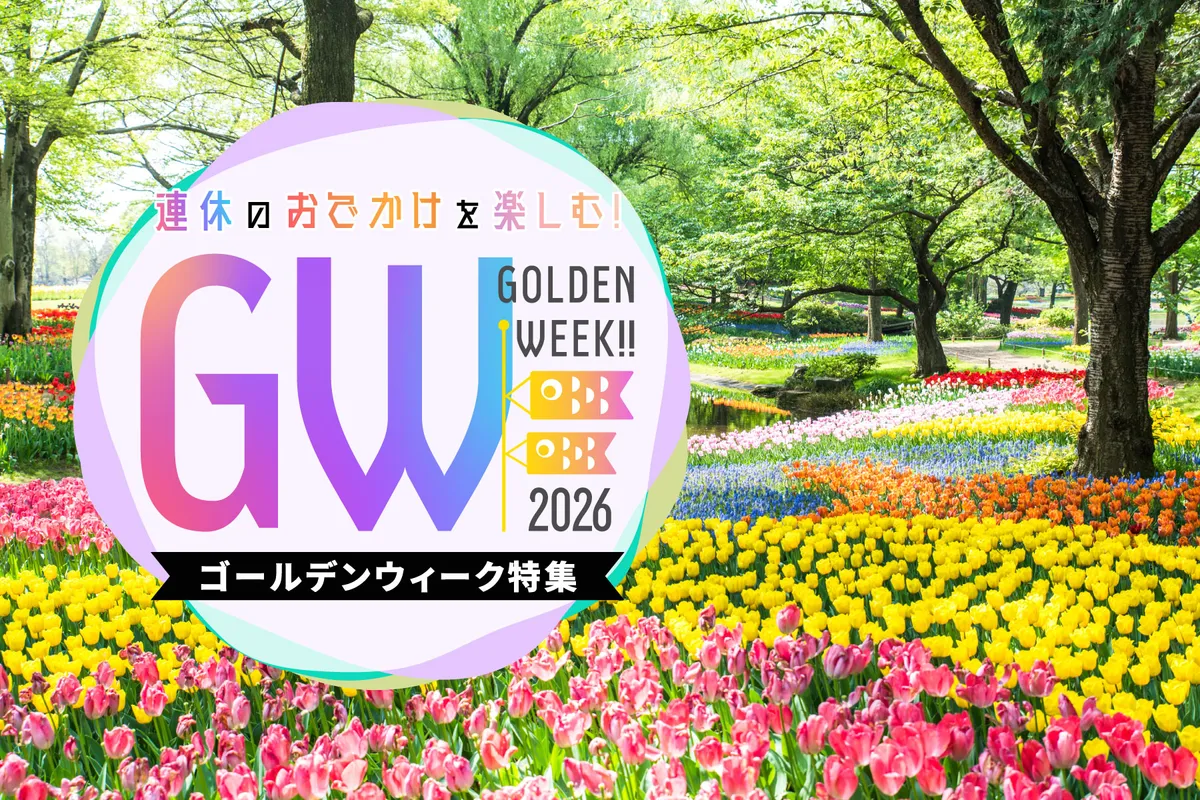 チームラボ豊洲で後悔ゼロ！服装の罠と混雑対策・2026年最新予約術