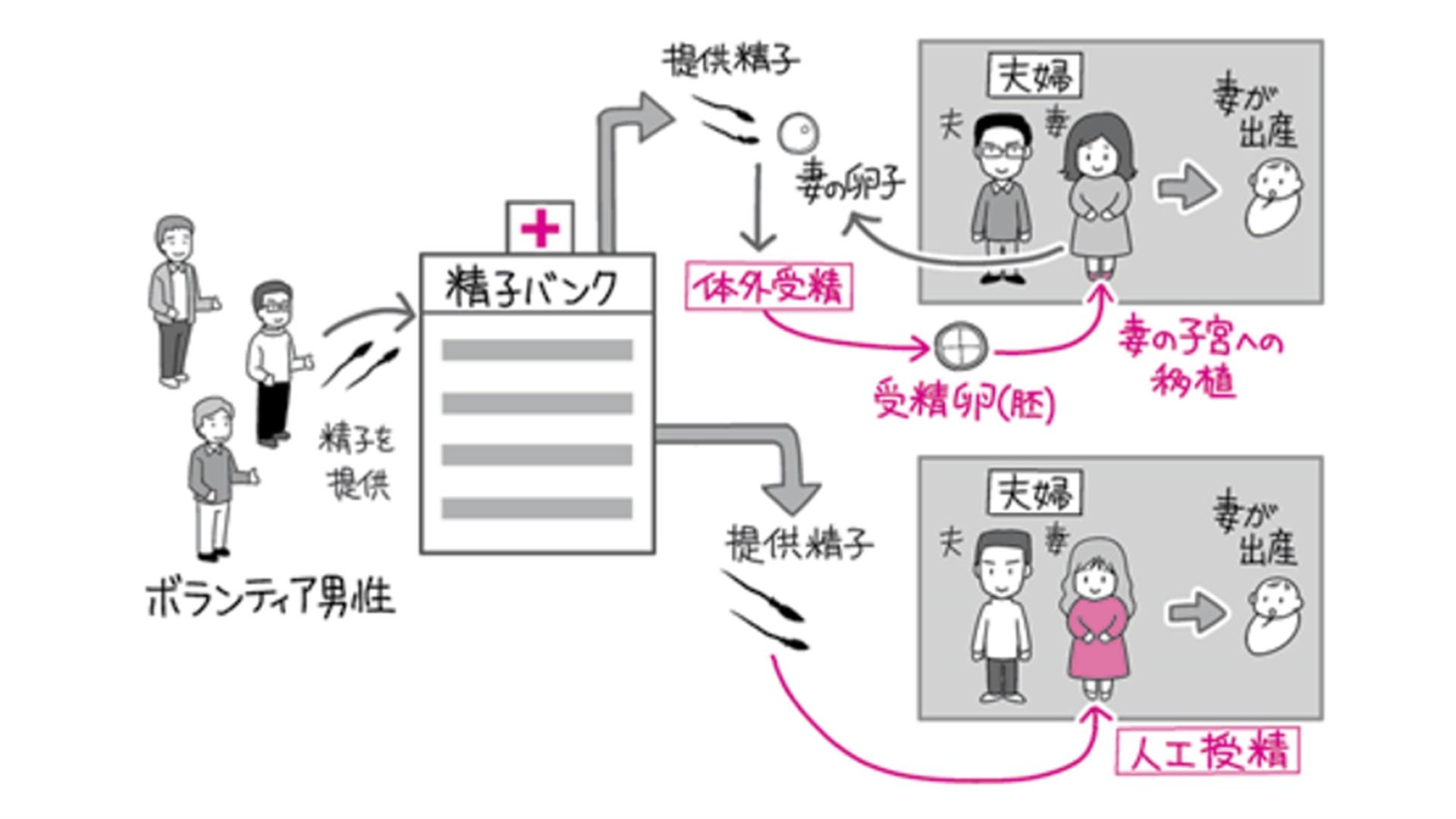 精子提供の闇と法改正の現在地｜Sns取引の罠と後悔しない選択肢