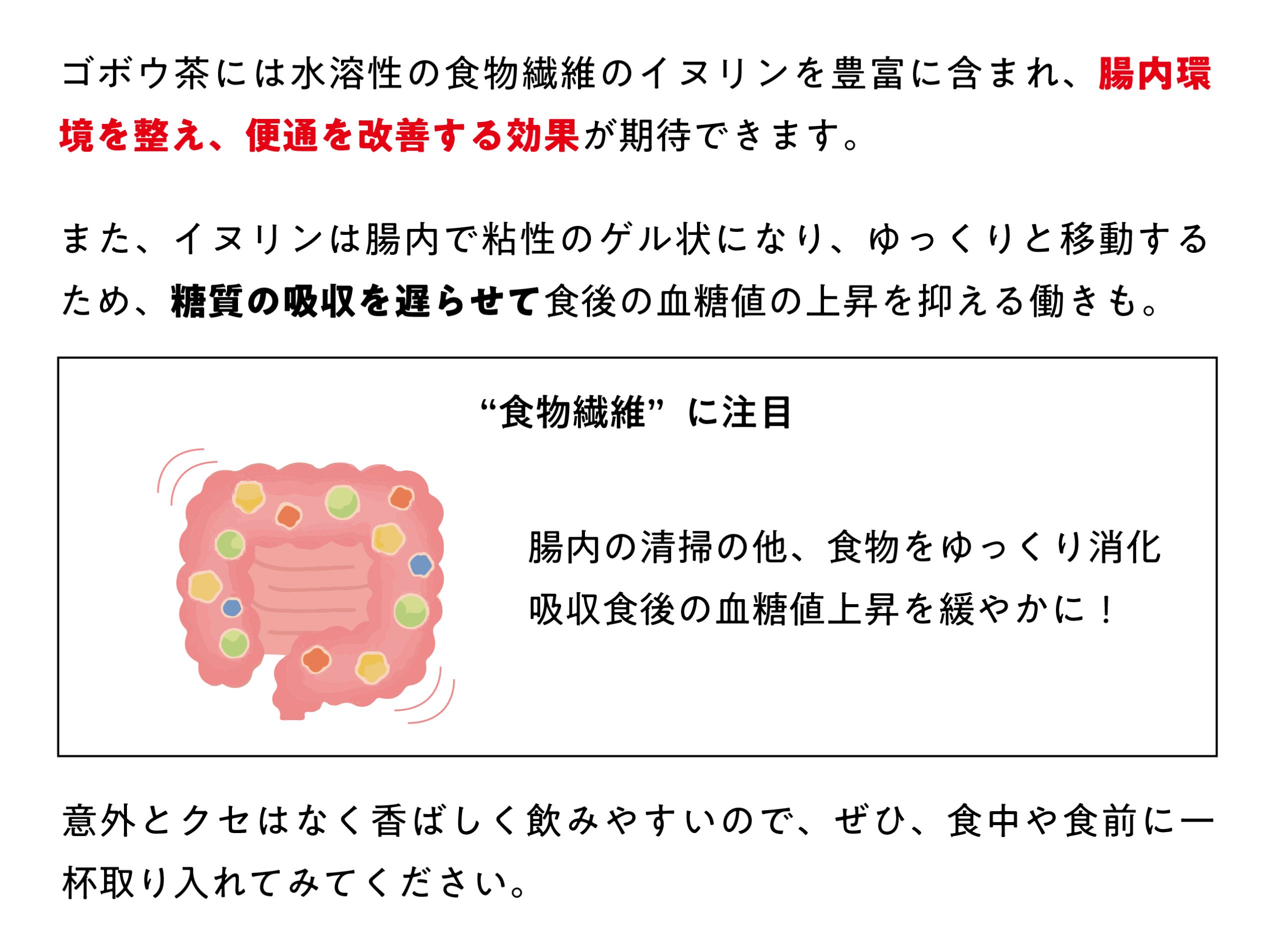 ごぼう茶の効能と若返りの真相｜サポニンとイヌリンの科学的効果