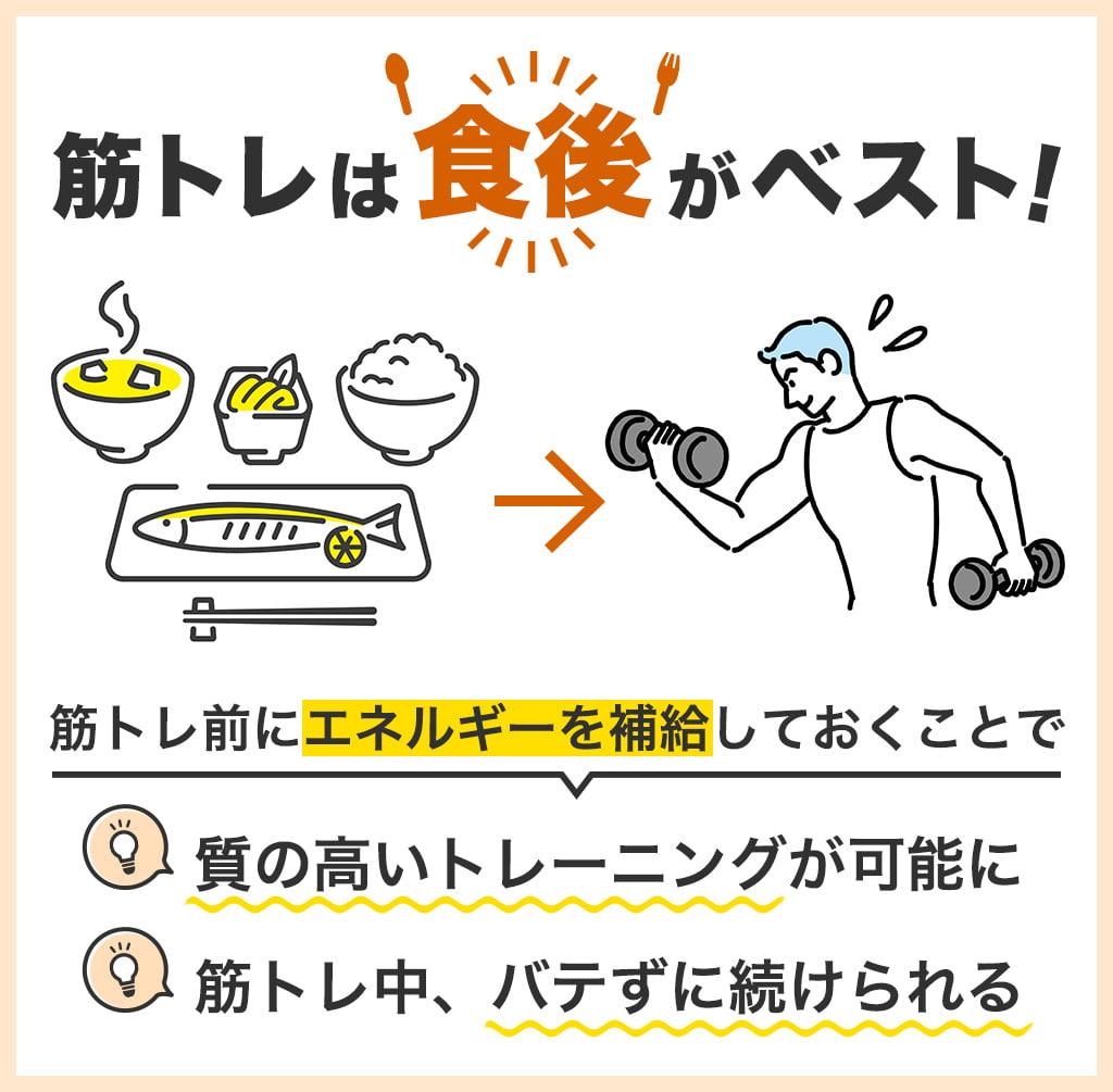食後の筋トレは効果なし？黄金の2時間ルールと科学的真相【2026】