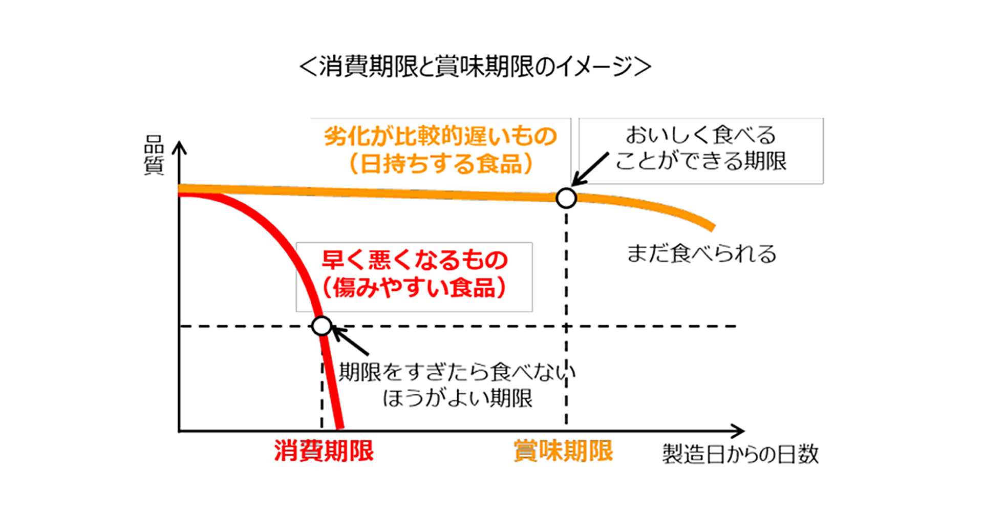 食品の安全係数とは？なぜ0.8を掛け添加物は100で割るのか徹底解剖