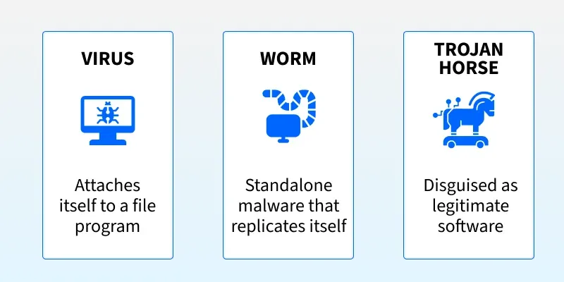 Computer Viruses Worms and Trojan Horses