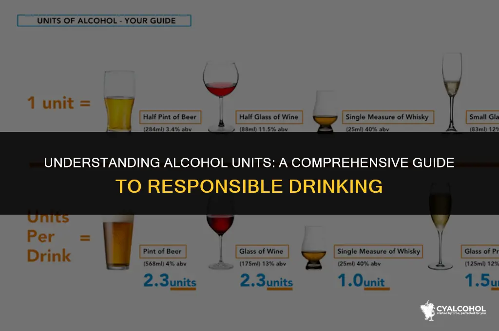 Can You Drink 100 Alcohol