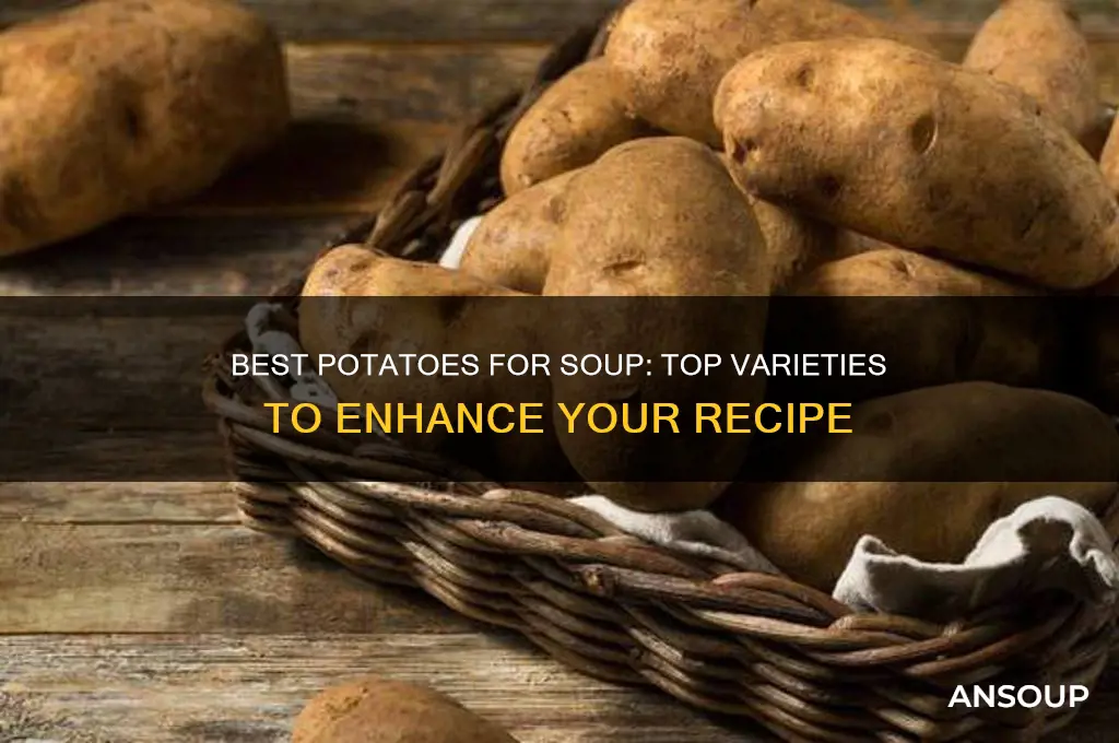 What Potatoes Are Good for Soup