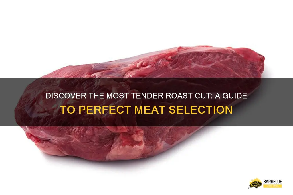 Which Is More Tender