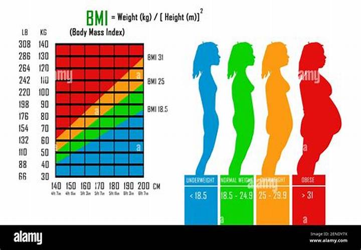 163センチ65キロの女性、Bmiと体型の正しい見方