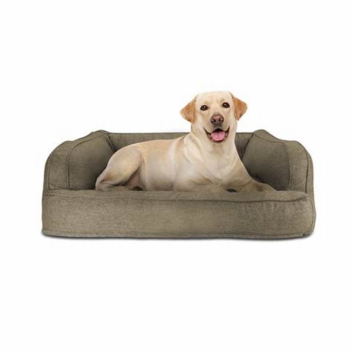 Arlee Sofa Couch Pet Dog Bed: a Practical Guide for Pet Owners