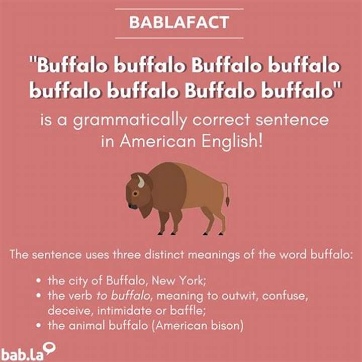 Buffalo Buffalo Buffalo Buffalo Buffalo: Meaning, Origin, and Why It Matters