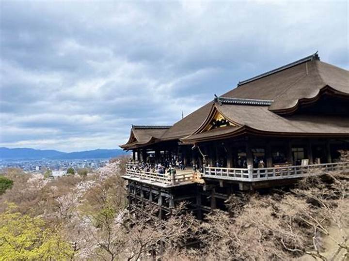 男子学園 京都店の完全ガイド｜アクセス・サービス・特徴を徹底解説