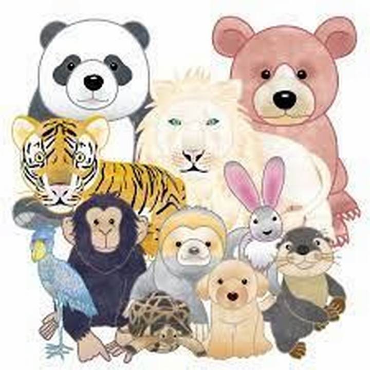 倉本すみれの動物クイズとは？Tiktokで話題になった理由を徹底解説